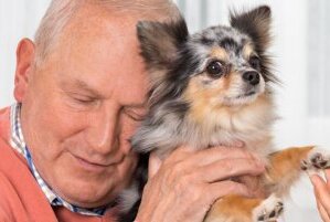 Certificeret skolehund