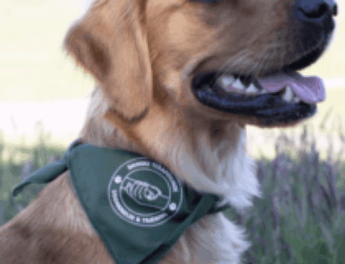 Kære ledelse i de Danske institutioner og private virksomheder.