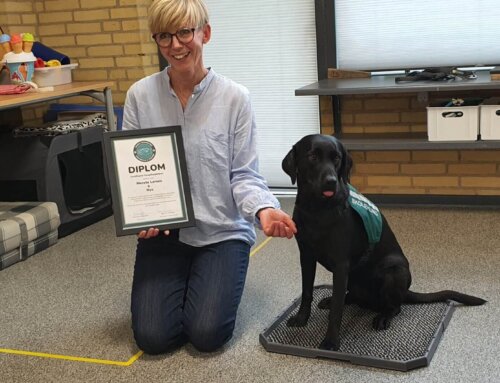 Skolehunden er en faglig medspiller i børns læring og trivsel