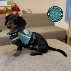 Trivselshund gør en forskel for børn i skolen