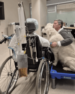 Hund på hospital