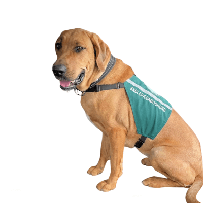 Hunde på job